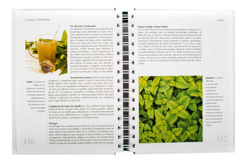 Imagen 4 de 6 de Plantas Medicinales Guía Práctica / Lexus