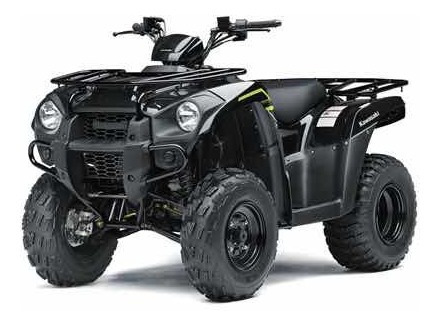 Imagen 6 de 14 de Cuatri Kawasaki Brute Force 300