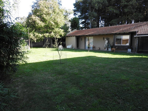 Casa - Solymar