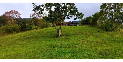Vendo Lote En Los Andes Antioquia