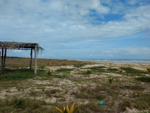 Venta Terreno 100 Hectareas Playa De Tamiahua Veracruz