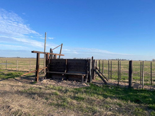 18 Hectareas En San Miguel Del Monte