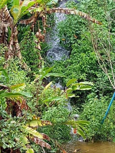 Imagem 17 de 30 de Sítio Com Cachoeira Privativa Em Santa Teresa. - Si0002