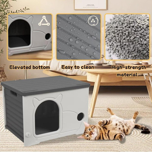 Cats De Gatos Callejeros Cats Feral Cause Suministros Gris