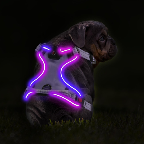 Arnés Led Para Perros Pequeños, Arnés Para Perros Iluminado,