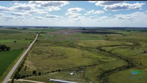 150 Has Campo Agrícola Ganadero A Tan Solo 10 Kms De Florida (bajo De Precio) !