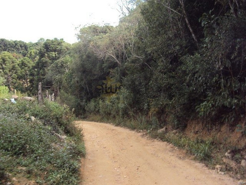 Chácara A Venda No Bairro Centro Em Mandirituba - Pr. - 5255-1