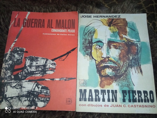 Martin Fierro Y La Guerra Al Malon