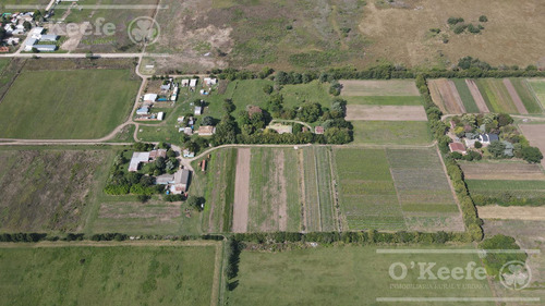 Venta Ideal Desarrollo - 5 Hectáreas En Florencio Varela - Expansión Urbana