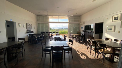 Venta | Bodega Con Viñedo | Maipú, Mendoza