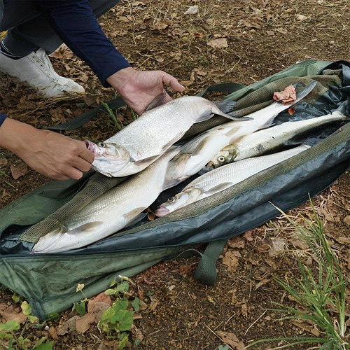 Bolsa De Pescado En Forma De Bote Bolsa De Pesaje Equipo De