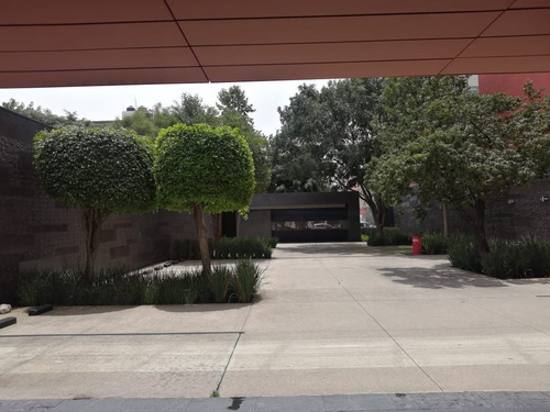 Imagen 14 de 29 de Oficina En Renta Con Terraza - Colonia Del Valle Sur