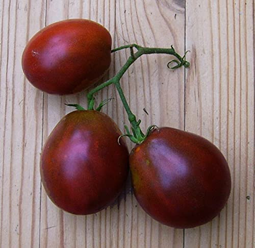 Semillas De Tomate En Forma De Pera Negra Para Plantar Sin O
