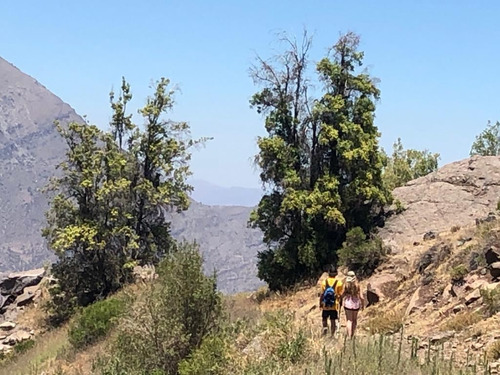 Parcela En Venta En San Francisco De Los Andes