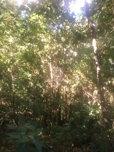 Parcela En Venta Orilla Rio Liucura En Pucón