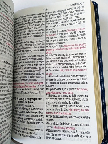 Imagen 7 de 8 de Biblia Rvr1960 Letra Grande Imitación Piel Duotono Azul/café