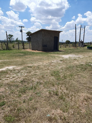 Imagem 14 de 27 de Excelente Sitio A Venda Em Pereiras - 531