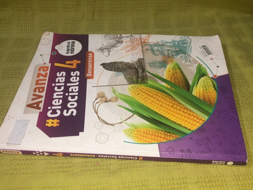 Ciencias Sociales 4 Bonaerense / Avanza - Kapelusz / Norma (Usado)