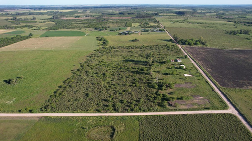 Imagen 12 de 20 de Campo - Colón