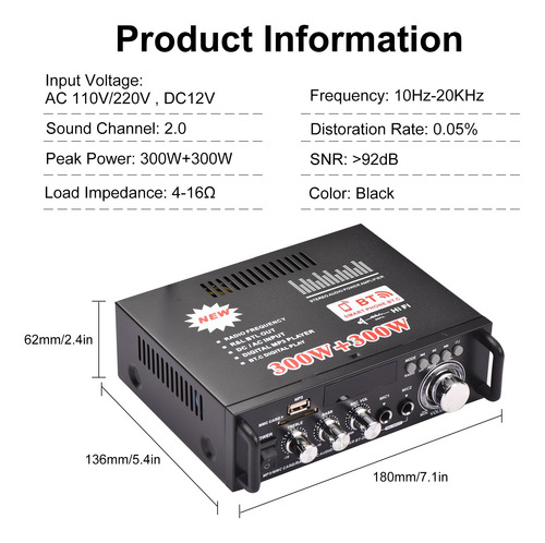 Amplificador De Potencia D/audio D/12v/110v 300w+300w P/auto