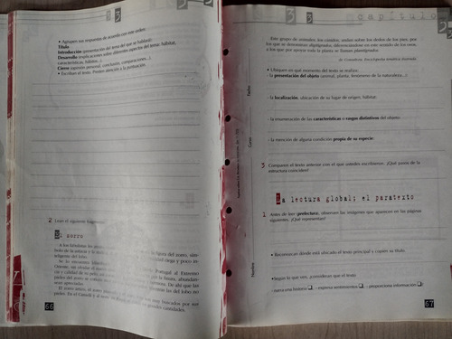 Lengua 7 - Serie Puntos Suspensivos - Kapelusz (Usado)