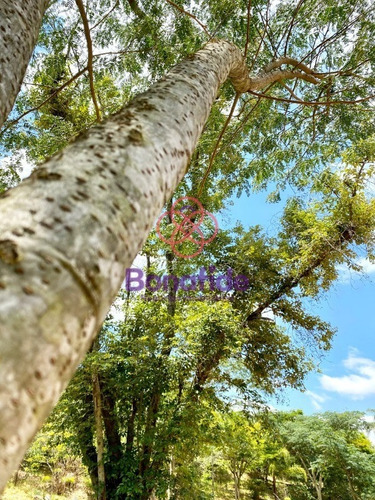 Imagem 18 de 20 de Terreno, Santa Esmeralda, Jardim Rosaura, Jundiaí - Te09484 - 70468344