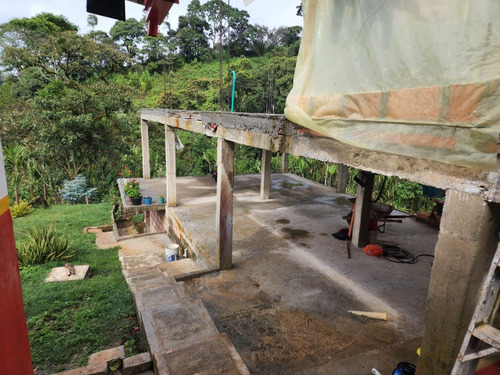 Imagen 15 de 20 de Venta De Finca Cafetera En Jericó Antioquia