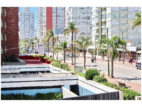 Apartamento En Peninsula, 2 Dormitorios *- Ref: 2926