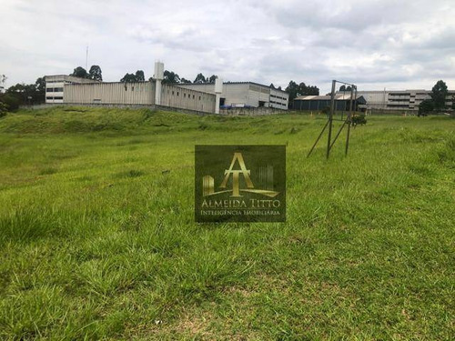 Alphaville Conde Ii, Barueri. Lote/terreno À Venda, 15000 M². - Te0565