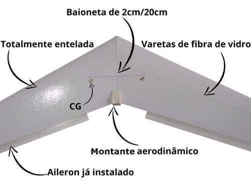 Aeromodelo Asa Zagi Horizon 1 Metro De Asa Com Linkagem + 2 Servos Mg90s Cor Vermelho