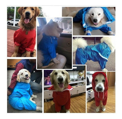 Capa Pet Chuva Capuz Cães Vermelha Ou Azul Raças Grande