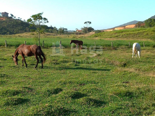 Imagem 5 de 25 de Terreno Para Chácara Em Condomínio Rural À Venda Em Tijucas/sc - 1406c