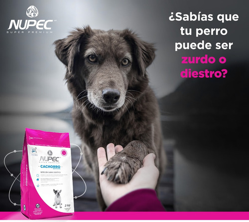 Alimento Nupec Perro Cachorro Raza Pequeña En Bolsa De 8kg