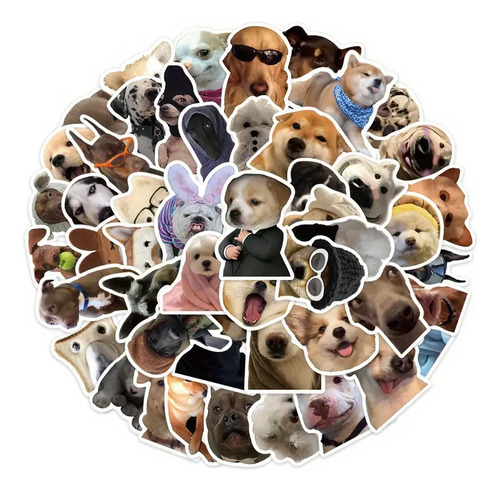 50 Calcomanías Sticker Impermeables De Curiosos Perros Meme