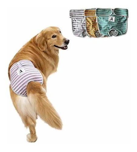 Pañales De Perro Femenino Lavables Miaododo, Pantalones De