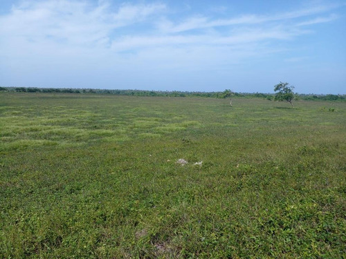 Vendo Terreno 2,000,000 Mt2 Con 450 Metros Lineales De Playa Al Lado Del Hotel Excellence Uvero Alto, Punta Cana, República Dominicana