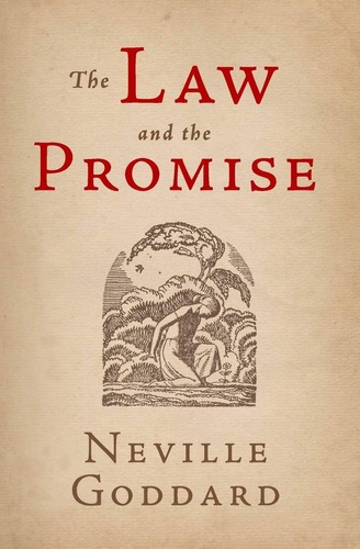 Libro The Law And The Promise-inglés