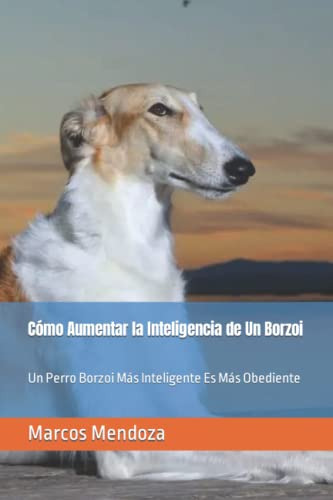 Como Aumentar La Inteligencia De Un Borzoi: Un Perro Borzoi