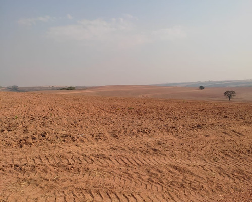 Imagem 12 de 14 de Vendo Fazenda Para Cultura Regiao De Araxa ( 6156 )