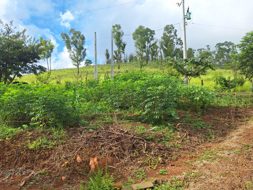 Sitio Em Taubaté Sp