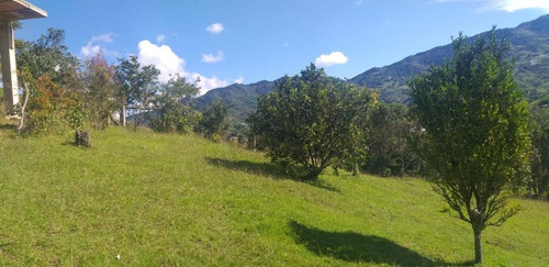 Linda Finca En Venta El Peñol