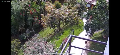 Sin Intermediarios. Espléndida Casa A 15 Minutos De Pereira