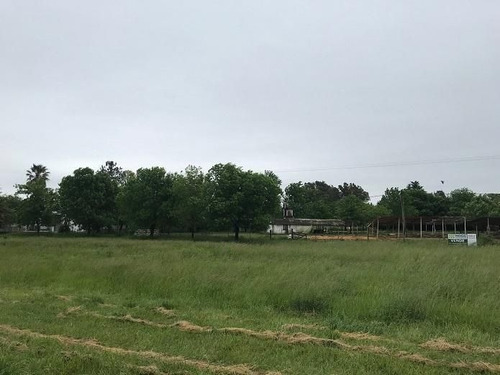 Imagen 9 de 10 de Lote | Ruta Prov. N° 41