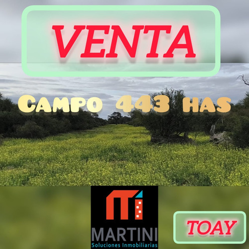 Excelente Oportunidad Por Precio Y Ubicación. 443has (350 De Monte Alto) A 80km De Santa Rosa, 40km De Winifreda, La Pampa. Suelo Franco-arenoso Idael Para Ganadería. Inversión, Coto De Caza , Etc.