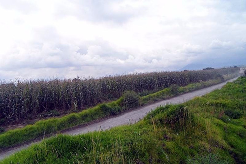 Imagen 7 de 12 de Vendo Terreno De 9 Has Cerca De Metepec