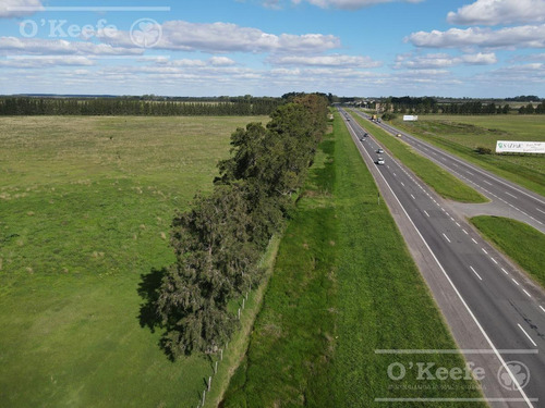 Imagen 2 de 18 de 520 Has - Campo En Venta En La Plata Zonificación Club De Campo