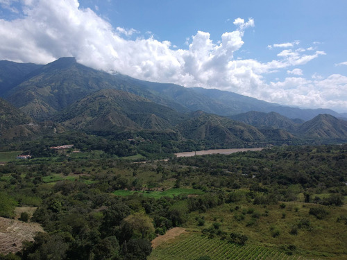 Imagen 12 de 30 de Finca Agrícola Santa Fe De Antioquia, Vereda El Tunal - Se Vende