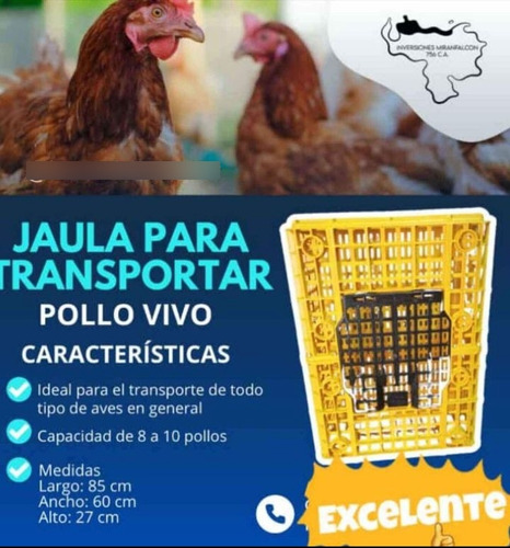 Cestas Plásticas Y Jaulas Para Pollos Vivos 