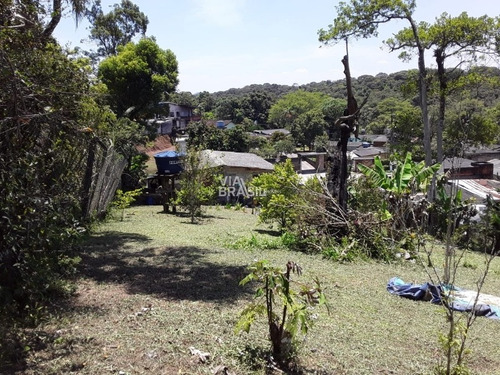Imagem 11 de 13 de Chácara À Venda - Riacho Grande - Sbc. - 230.000,00. - 1890