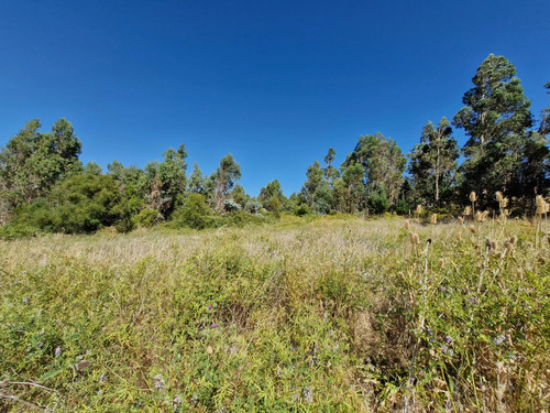 Parcela Ideal Para Cultivo Y Descanso (132446)